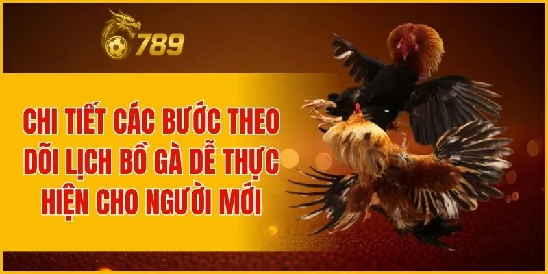 Chi tiết các bước theo dõi lịch bồ gà dễ thực hiện cho người mới