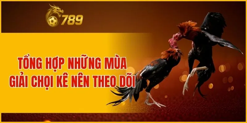 Tổng hợp những mùa giải chọi kê nên theo dõi