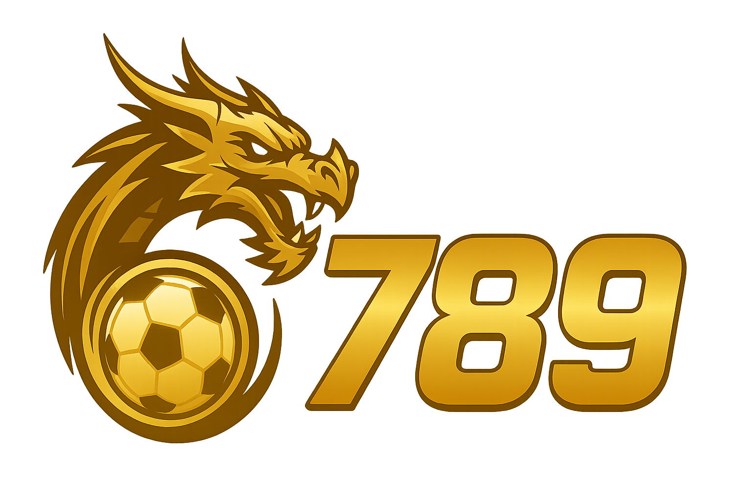 logo 6789