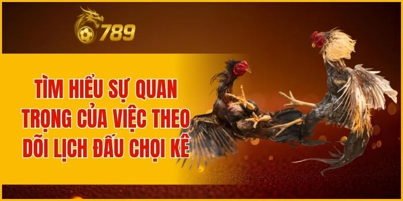 Tìm hiểu sự quan trọng của việc theo dõi lịch đấu chọi kê