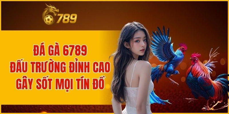 ĐÁ GÀ 6789 ĐẤU TRƯỜNG ĐỈNH CAO GÂY SỐT MỌI TÍN ĐỒ
