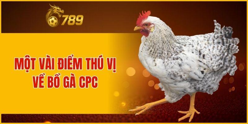 Một vài điểm về bồ gà CPC