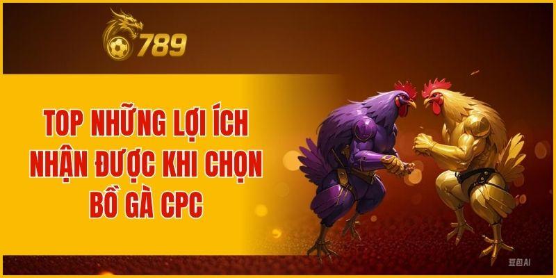 Top những lợi ích nhận được khi chọn bồ gà CPC