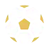 sport icon