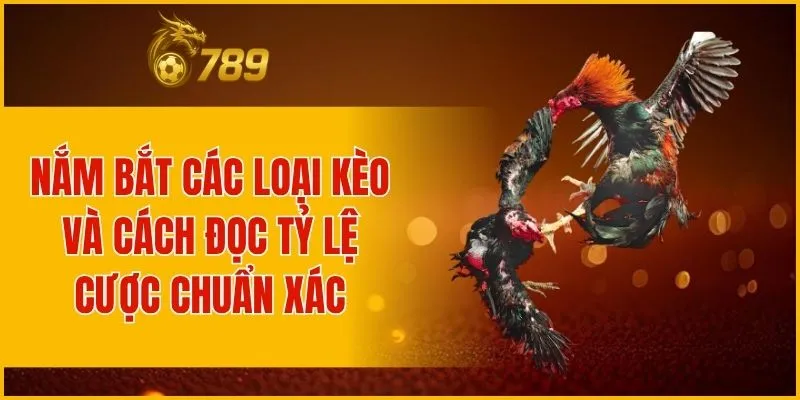 Nắm bắt các loại kèo và cách đọc tỷ lệ cược chuẩn xác