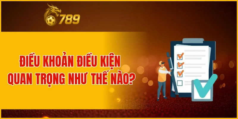 Điều khoản điều kiện quan trọng như thế nào?