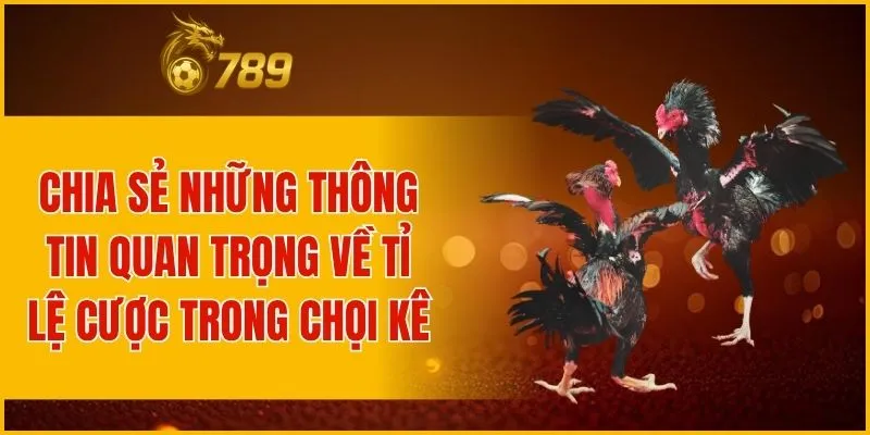 Chia sẻ những thông tin quan trọng về tỉ lệ cược trong chọi kê