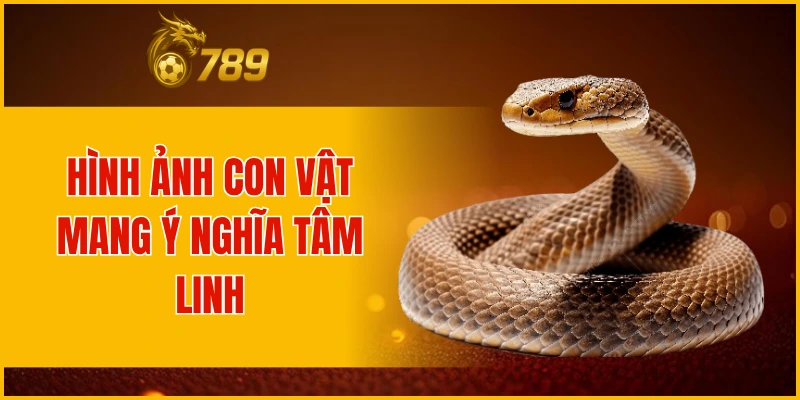 Hình ảnh con vật mang ý nghĩa tâm linh