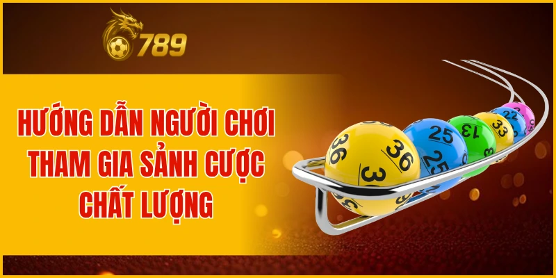 Hướng dẫn người chơi tham gia sảnh cược chất lượng