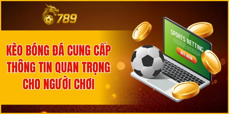 Kèo bóng đá cung cấp nhiều thông tin quan trọng cho người chơi