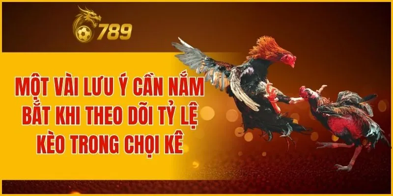 Một vài lưu ý cần nắm bắt khi theo dõi tỷ lệ kèo trong chọi kê