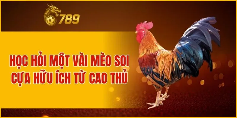 Học hỏi một vài mèo soi cựa hữu ích từ cao thủ