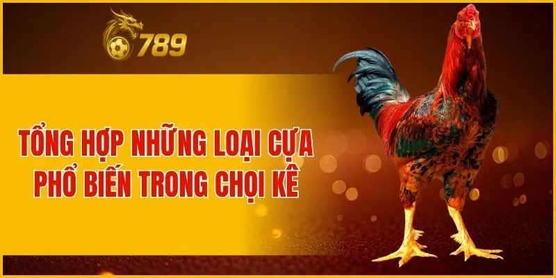 Tổng hợp những loại cựa phổ biến trong chọi kê